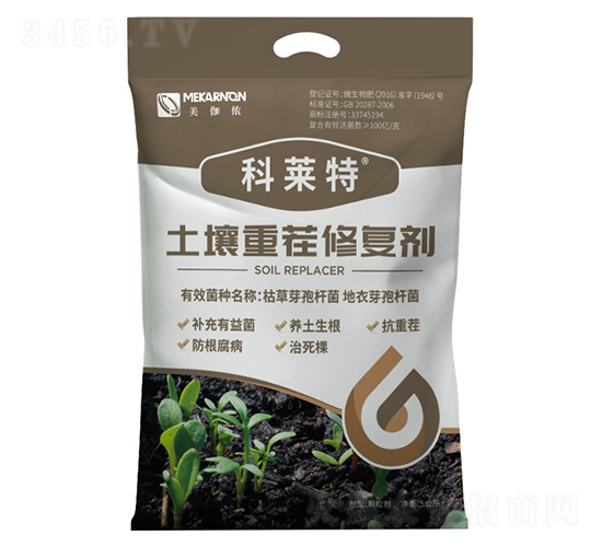 �����ز��ޏ̈́�-���R��-��٤�z