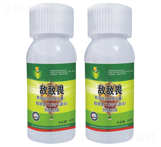 77.5%����η����-����