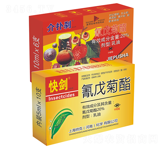 20%�����������-����