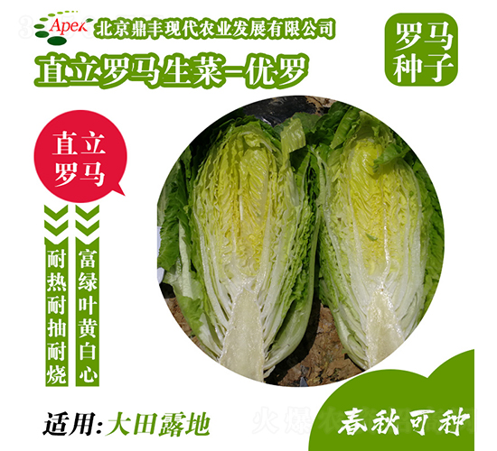 ��(y��u)�_-���˷N��-���S�r(n��ng)�I(y��)