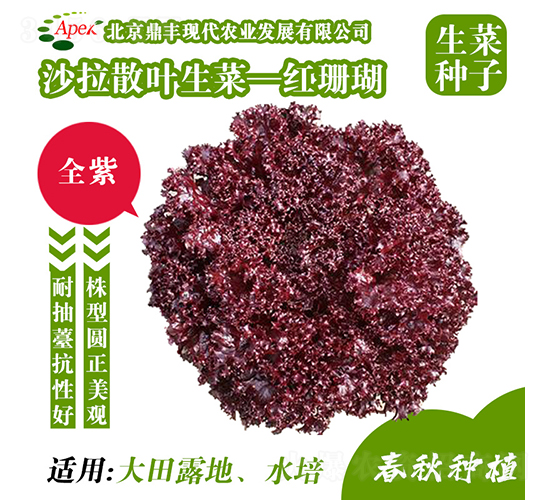 �tɺ��-���˷N��-���S�r(n��ng)�I(y��)