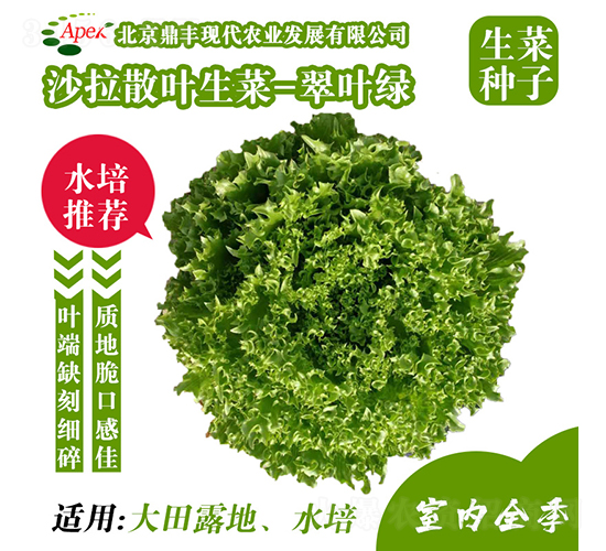 ���~�G-���˷N��-���S�r(n��ng)�I(y��)