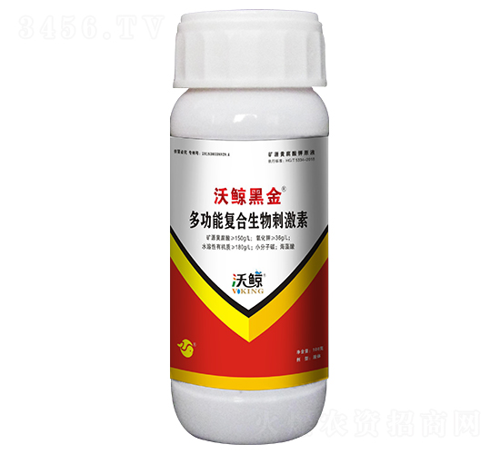 �๦�܏ͺ�����̼���-���L�ڽ�