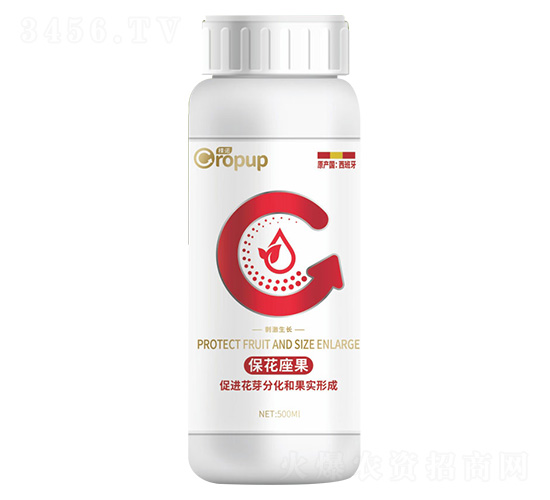 �̼����L��~���-���Z-�¶�����