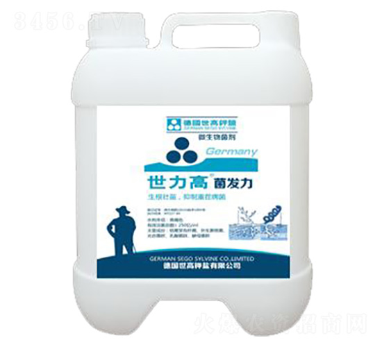 �ݲ�ѿ�ߗU������-���l(f��)��-����������