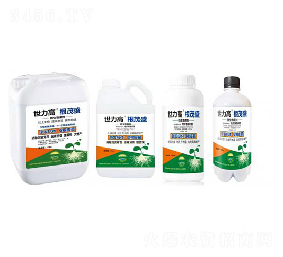 ΢�������-��ïʢ-����������