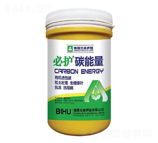 ̼����-���o-����������