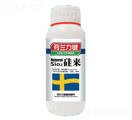 ���-����������