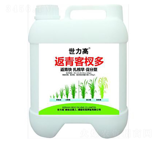 ������Y��-����������