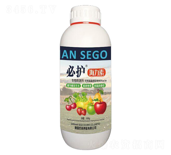 ������-���o-����������