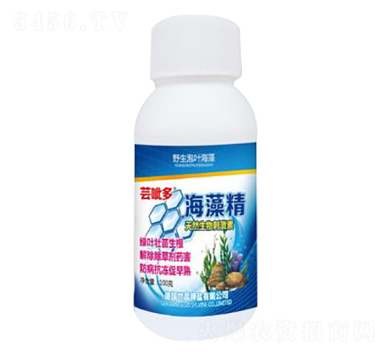 ���徫-�|����-����������