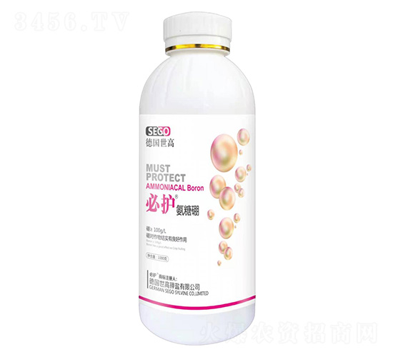 ������-���o(h��)-����������