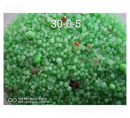 �M�ھ���w����30-0-5-�h�󱊵�