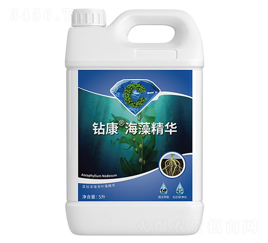 �@�����徫�A-�����ط�