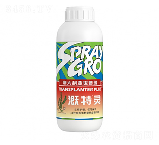 �����`-�����ط�