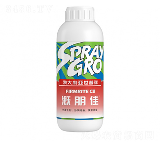 �����-�����ط�