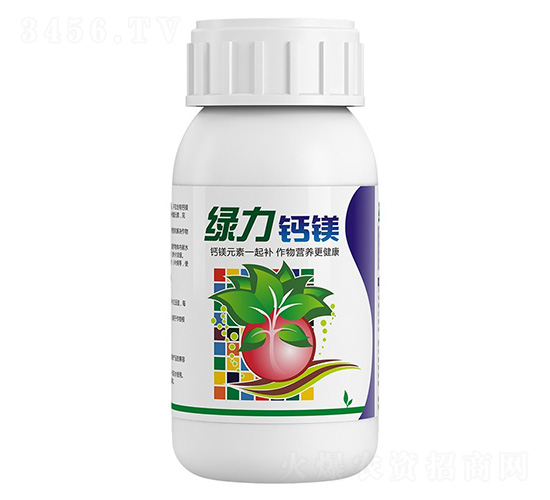 �G�����}�V-�����ط�