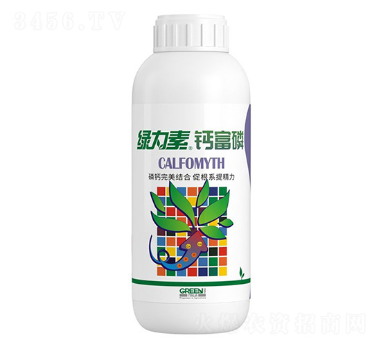 �G�����}����-�����ط�