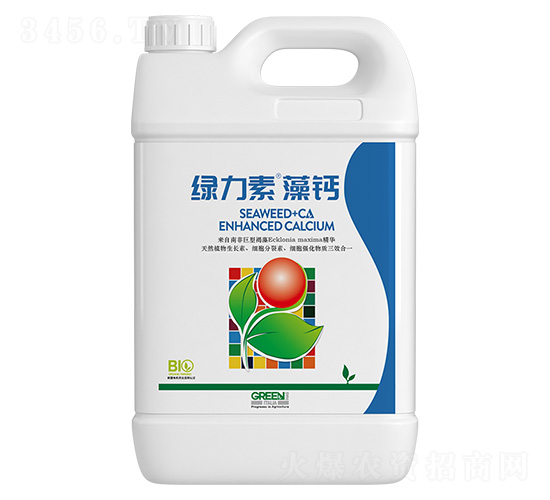 �G�������}-�����ط�