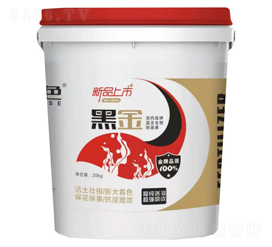 �ڽ�-ֲɫ����