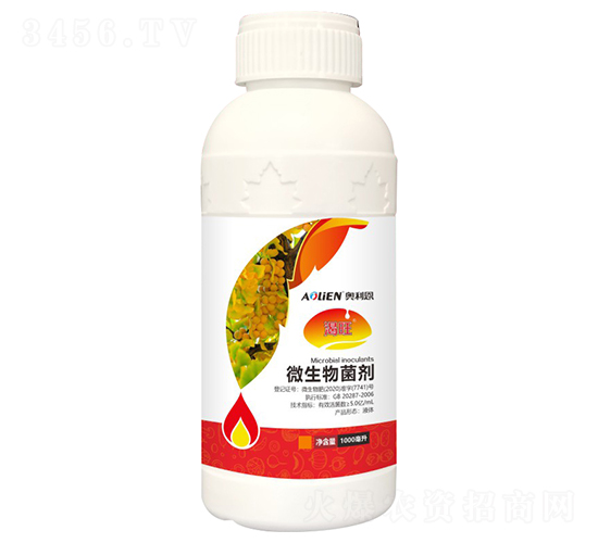 ΢�������-����-�W����