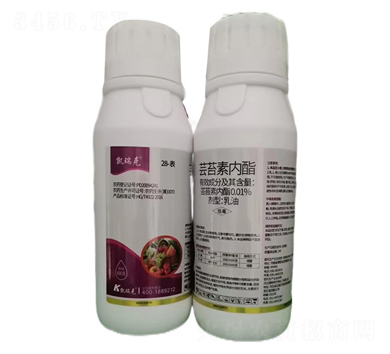 500���|̦�؃���-�P���