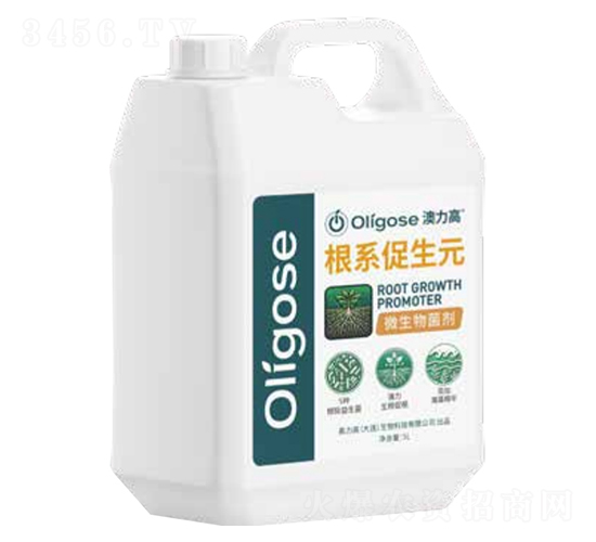 �����߸�ϵ����Ԫ-�W����