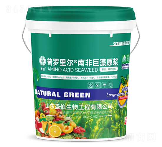 �ϷǾ���ԭ�{-���_�-ʥ������