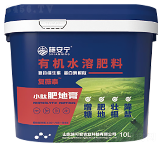 С�ķʵظ�-��ޱ̩-ʩ����