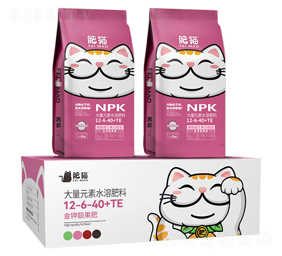 ����n����12-6-40+TE-��؈�r�I(y��)