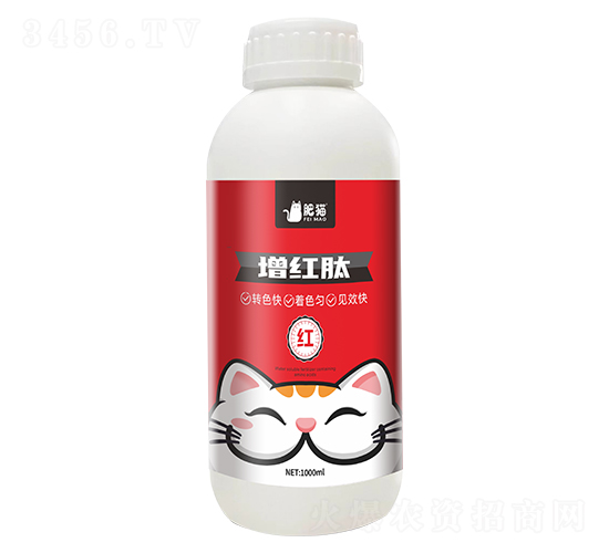 ���t��-��؈�r�I(y��)