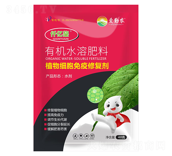 ֲ�：�������ޏ̈́�-������