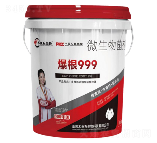 ����999-ľ�~(y��)ʯ