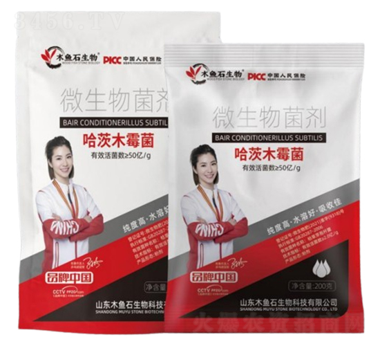 ����ľù��-ľ�~ʯ