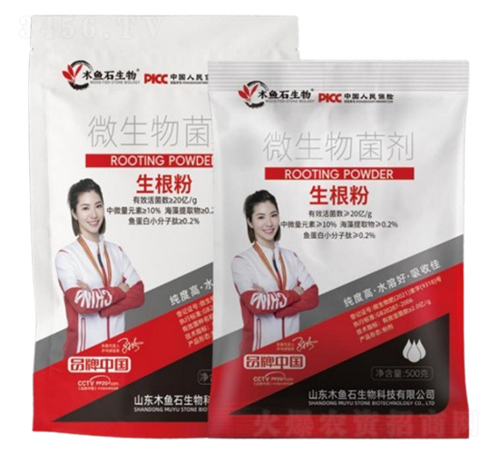 ������-ľ�~(y��)ʯ