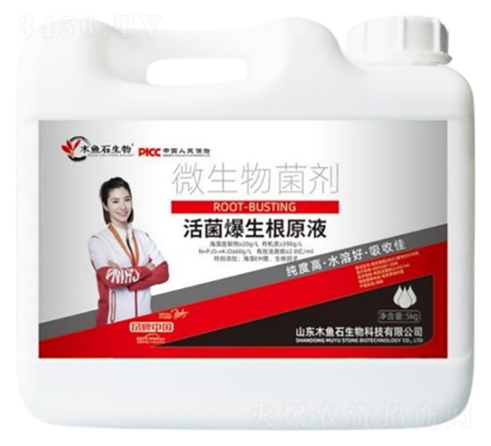 ���������ԭҺ-ľ�~(y��)ʯ