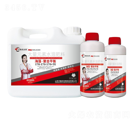 ���塤�ۺ�ƽ��170-170-170+TE-ľ�~ʯ