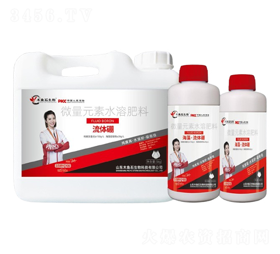 ���塤���w��-ľ�~ʯ