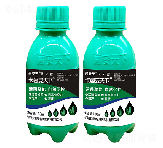 ��������2̖-����