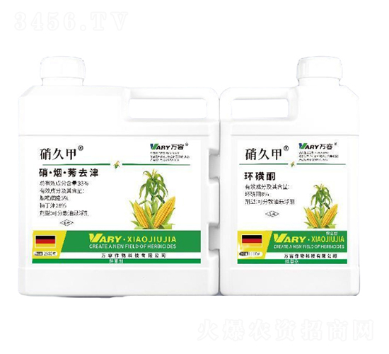 33%��������ݬȥ��+8%�h(hu��n)��ͪ-���ü�-�f��