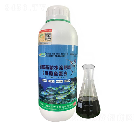 ø�⺣���~����-ܽ���