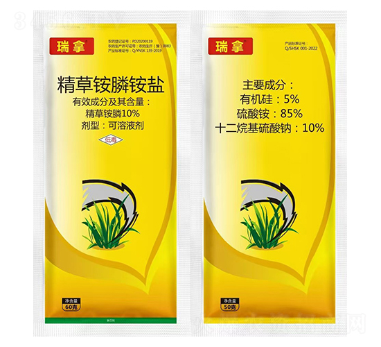 10%�����@��@�}-����-�t̫�(y��ng)