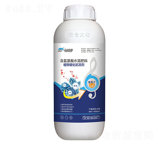 ֲ��Ż�������-���_(t��i)��