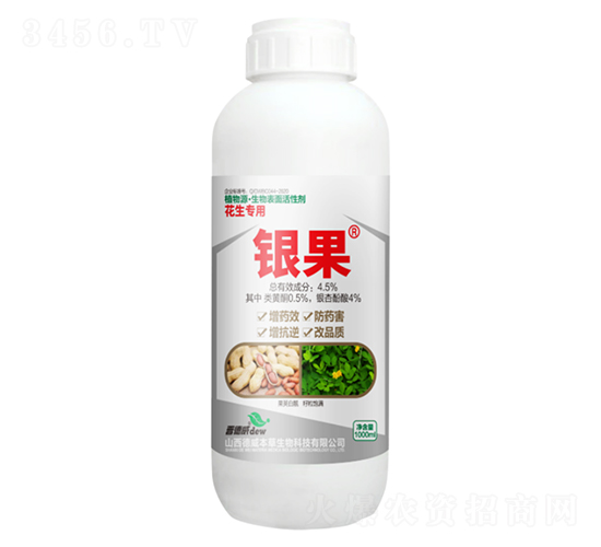 �����������������Ԅ�-�y��-��������