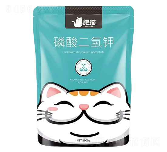 ��������-��؈