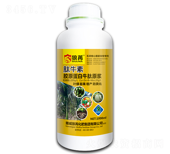 ��ţ�أ�ƿ��-����