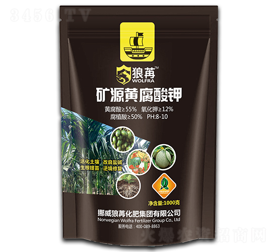 �VԴ�S�����-����