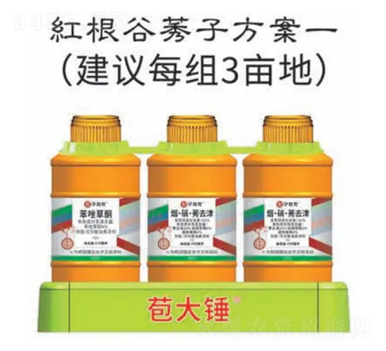 �t����ݬ�ӷ���-�����N-�n�ѻ��W(xu��)