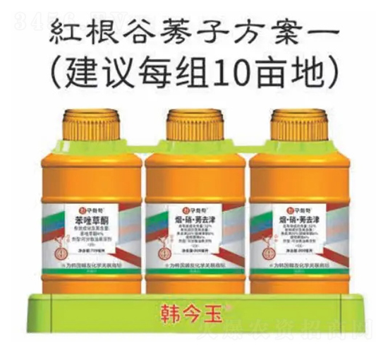 �t����ݬ�ӷ���-�n����-�n�ѻ��W