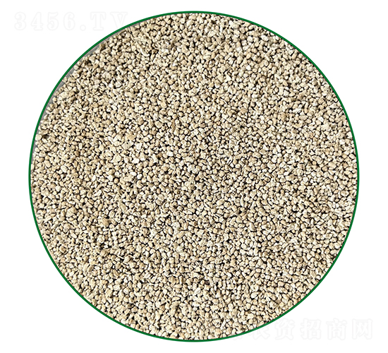 �������w��-�o�}��-�г�����